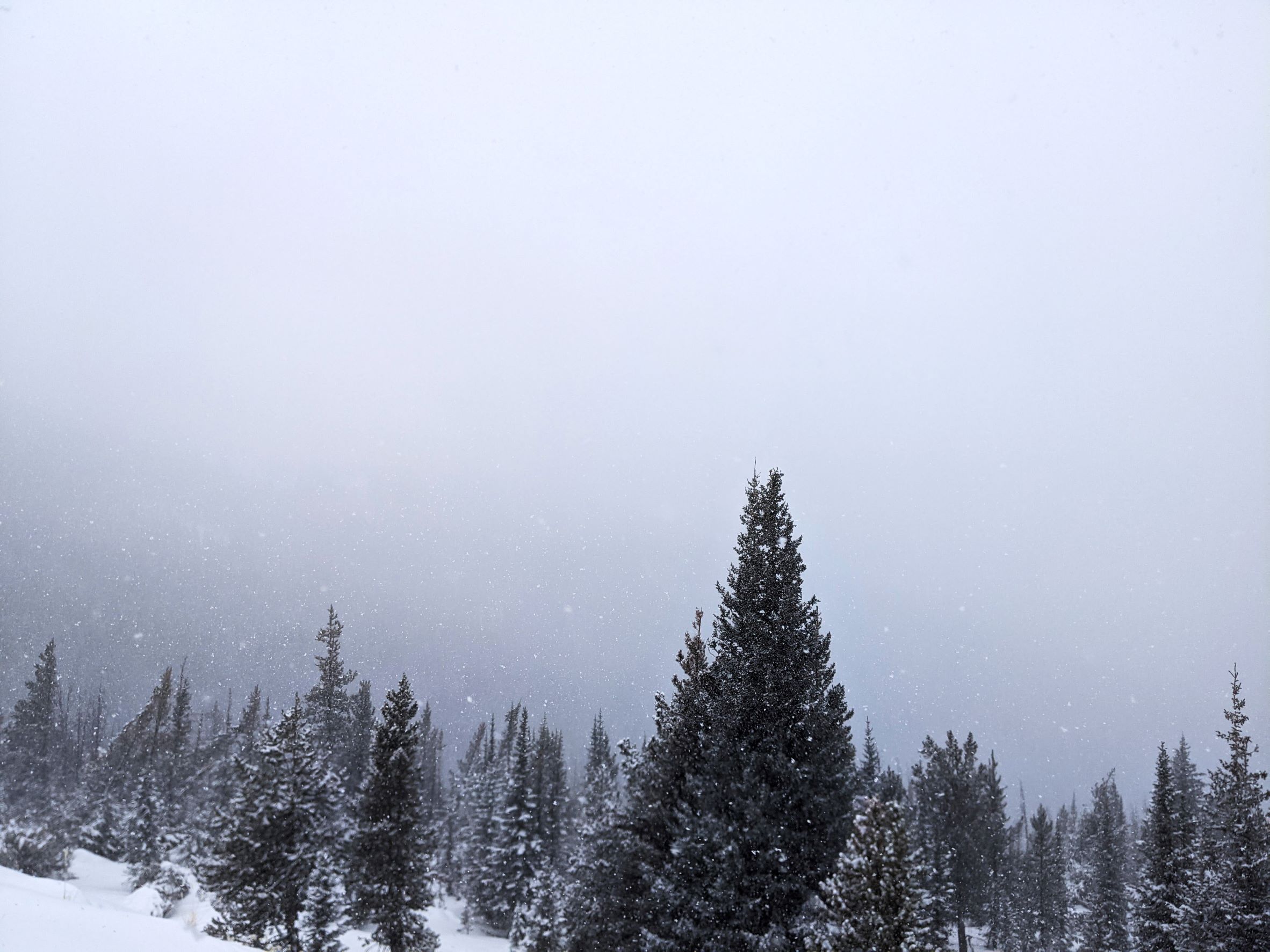 Denver In December: How To Plan A Hallmark Movie Winter Vacation